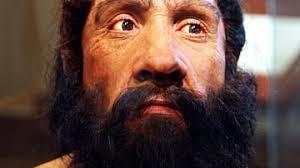 Neanderthal Man (Illustration) - World History Encyclopedia