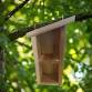 Insect Inn Enrichment Class (Ages 5-9)