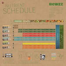 Biobizz Feeding Schedule The Grow Show