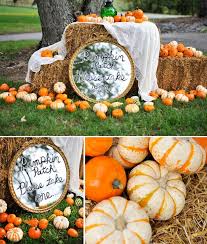 Pumpkin Patch Natalie Franke Pumpkin Wedding Wedding Inspiration Fall Fall Pumpkin Wedding