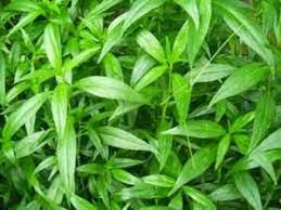 Pin Di Haid Mandi Wajib Yll