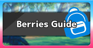 Sword Shield Berries Guide How To Get Uses Pokemon