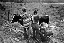 Black And White Woodstock 30 Rare And Amazing Black And White Photographs Of The 1969 Woodstock Festival Taken By Baron Wolman Vintage Ever In 2020 Woodstock Festival Woodstock 1969 Woodstock
