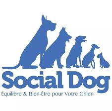 Social Dog