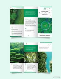 Ⅰ．plan of the action for environmental conservation. Example Of Concept Paper About Environmental Conservation And Action Examplepapers