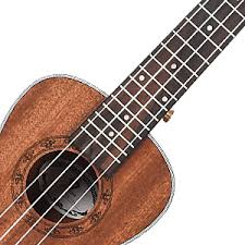 Concert ukulele is an ideal choice for both newbies and professionals. Amazon Com Ukulele Concert Size Starter Kit 23 Inch Professional Wooden Ukelele Instrument Kit Hawaiian Yukelele Pack With Gig Bag Digital Tuner Strap 4 Aquila Strings Set Musical Instruments