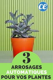 3 Arrosages Automatiques Faits Maison Pour Vos Plantes D Interieur Arrosage Automatique Arrosage Plante Interieur