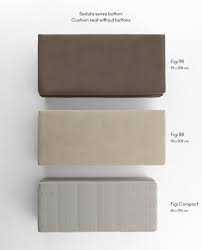 Image result for isolona