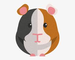 Guinea Pig Stickers Messages Sticker 6 Guinea Pig Clipart Png 618x618 Png Download Pngkit Share a sticker and browse these related animated sticker searches. guinea pig stickers messages sticker 6