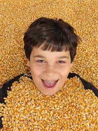 Visited Philips Farm of Cary for their pumpkin patch! Love that anyone can  visit their pumpkin patch area for free but the famiky fun park does  require tickets. They have so much