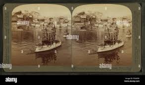 Image result for Brown 2009 Fleet