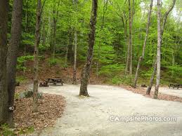 Mohawk trail state forest cabins offer visitor the experience of a true wilderness. Mohawk Trail State Forest Campsite Photos Reservations Info