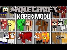Minecraft Kopek Modu Eglenceli Kopekler