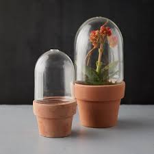Terracotta Cloche Pot Terrain In 2020 Small Flower Pots Flower Pots Glass Cloche
