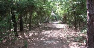 Baytown, to the east and at the head of galveston. Cypress Tx Real Estate Cypress Texas