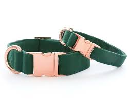 Evergreen Dog Collar Dark Green Pet Collar Modern Dog Etsy Small Dog Collar Dog Training Dog Supplies