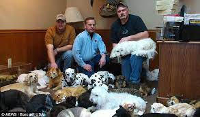 Canidae sustain delivers on our mission to create the best dog food possible while creating more goodness to pets, people and planet. Eternally Yours The Freeze Dried Pets That Loving Pet Owners Can T Bear To Bury Or Have Cremated Daily Mail Online