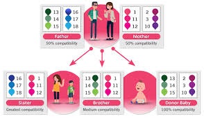 Both provide each other with the love and affection that they want in a relationship. Blood Cancer And Stem Cells Finding A Match Future Health Biobank