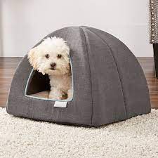 We did not find results for: Frisco Igloo Covered Cat Dog Bed Chewy Free Shipping