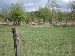 Bureau et parking à l'entrée du parc - Photo de Parc Departemental de la Haute Ile, Neuilly-sur-Marne - Tripadvisor