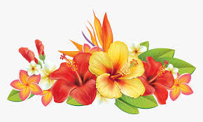 Hawaiian Flower Vector Png Transparent Png Transparent Png Image Pngitem 128 transparent png illustrations and cipart matching hawaiian flower. hawaiian flower vector png transparent