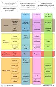 Nutrient Deficiency Chart Creativedotmedia Info
