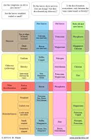 nutrient deficiency chart creativedotmedia info