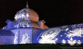 We did not find results for: San Francisco Conservatory Of Flowers A Local S Review