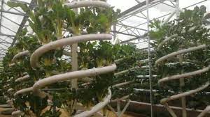 China Nft Hydroponics Pvc Kanal Fur Gewachshaus Hydroponic Growing System Kaufen Hydroponics Auf De Made In China Com