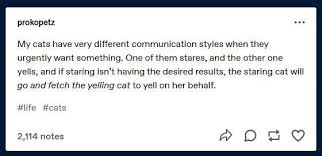 Maybe you would like to learn more about one of these? Qfbltqzoxoar1m