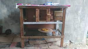 Contohnya dengan ukuran yang idealnya adalah 50 x 50 x50 atau kalian juga bisa membuatnya dengan skala ukuran lebih besar. Contoh Kandang Buatan Dari Kayu Simpel Buat Ternak Lovebird Youtube