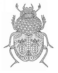 Amazing Insects Meditation Relaxation And Stress Relief With Unique 32 Amazing Bug Art Moon Coloring Pages Beetle Art