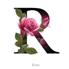 R Name Red Rose Image I've recently bought a lg c8 and i'm looking for some 4k hdr anime movies/shows but they are soooo rare. r name red rose image