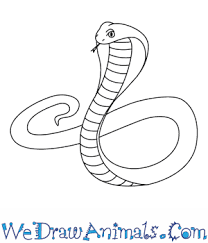 Subscribe to the how2drawanimals youtube channel for a new. How To Draw A King Cobra