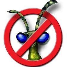 127 forest lake blvd s. Do It Yourself Pest Control Of Oldsmar Home Facebook