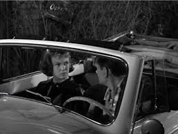 Image result for Haig Green 1929 Dodge