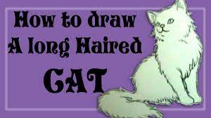 Still have a lot of improvement to make on cats. How To Draw A Long Haired Cat Youtube