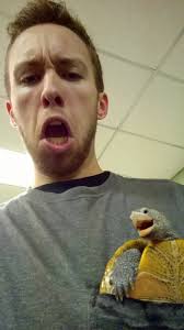 Let's Celebrate Ninja Day By Posting Pics Of Turtles And Tortoises (61 Pics)