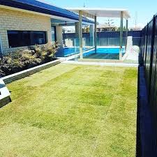 We did not find results for: Tiftuf Lawn Perfect For Wa Lawn Western Australia Turf