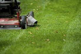 Fresh lawn mowing service in houston offers residential and commercial lawn services. Lawn Mowing In Florida Your Green Team