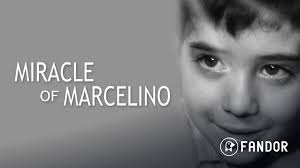 Prime Video: Hudson's Bay: Collection 1