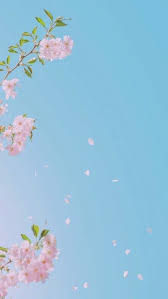 Tumblr Wallpaper Iphone Blue Pastel Hd