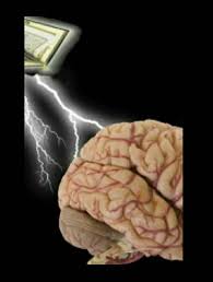 أبحاث الدماغ البشري وكيفية توظيفها في حفظ آيات القران الكريم والاستراتيجيات التعليمية المناسبة لها مركز بيلر لإدارة الأزمات والتحكيم الدولي و البحث العلمي