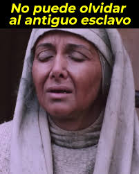 Rodomon se dispuso a...