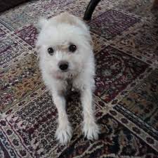 ABSOLUTE TRUTH!! 🤣💖💝🤔😉 If your Dad wore shoes like this when you were  growing up, you have siblings you've you'v never met