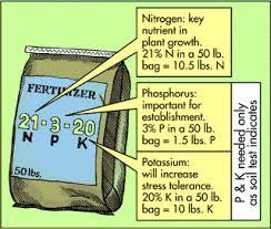 Nutrients For Autoflowering Cannabis