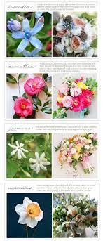They come in white, red, yellow, pink, salmon, purple and bicoloured. Winter January Ideas Floral Flower Bouquet Wedding Types Of Flowers Flowers Bouquet