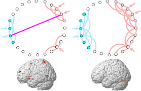 Read 683 reviews from the world's largest community for readers. Autism And Abnormal Development Of Brain Connectivity Journal Of Neuroscience
