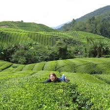 Lisa Schlenker (@Lisibiyo)