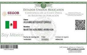 Curp Gratis Consulta Saca E Imprime Tu Curp En Mexico
